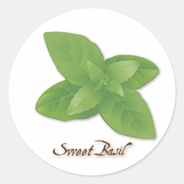 Sweet Basil Herb Round Sticker (Vorderseite)