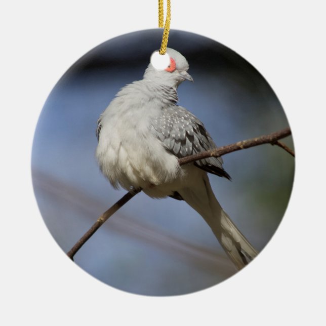 Sweet Beautiful Diamond Dove Keramik Ornament (Vorne)