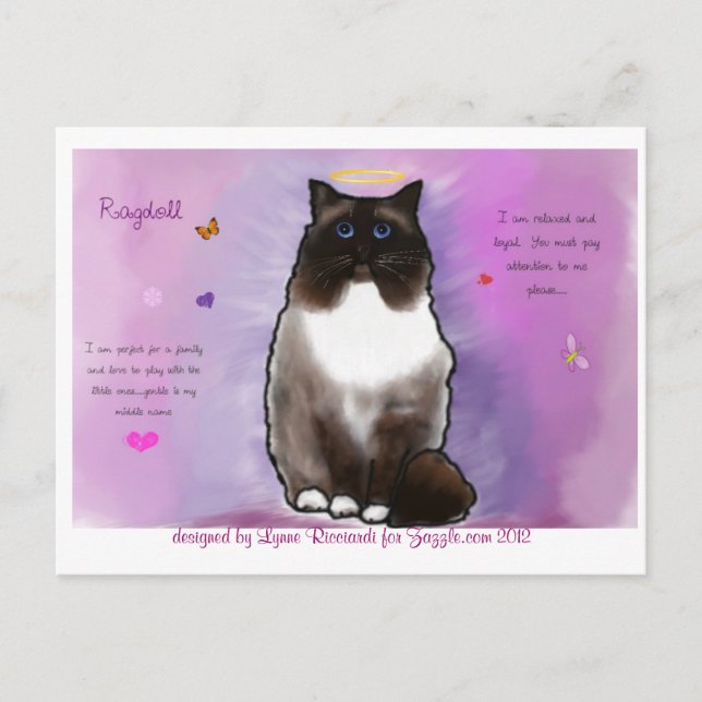 Sweet Beautiful Ragdoll Postkarte (Vorderseite)