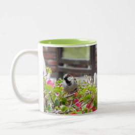 Sweet Bird-Tasse Zweifarbige Tasse