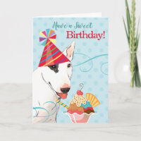 Sweet Birthday Bull Terrier