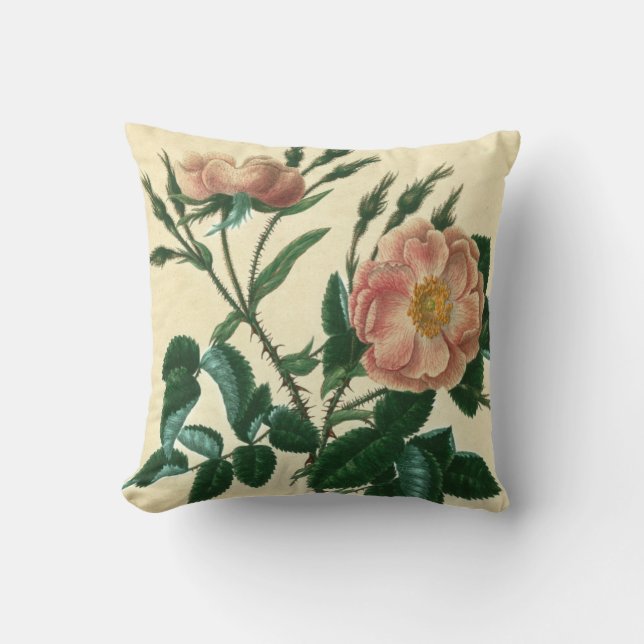 Sweet Briar Rose Kissen (Vorderseite)