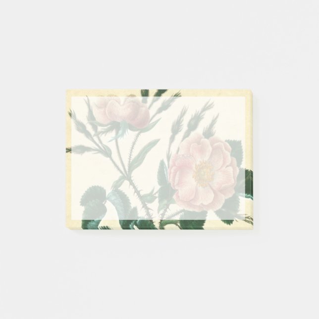 Sweet Briar Rose Post-it Klebezettel (Vorderseite)