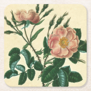 Sweet Briar Rose Rechteckiger Pappuntersetzer