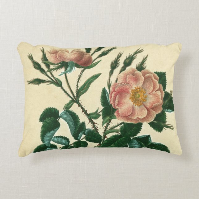 Sweet Briar Rose Zierkissen (Vorderseite)