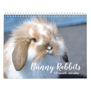 Sweet Bunny Rabbits 2026 Kalender