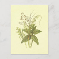 Sweet Cane & Cinnamon Vintag Lithograph