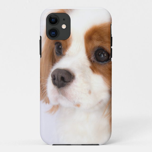 Sweet Cavalier King Charles Spaniel iphone 5g Case (Rückseite)