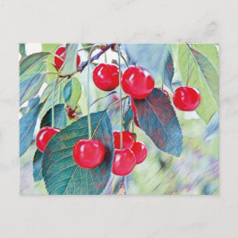 Sweet Cherries Postcard Postkarte