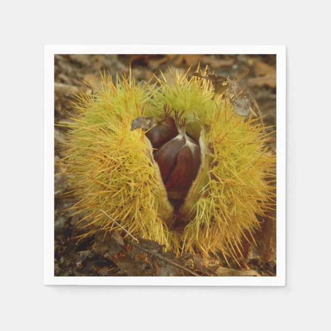 Sweet Chestnut Paper Napkins Serviette (Vorderseite)