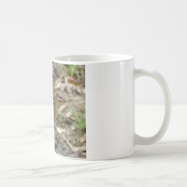 Sweet Chipmunk Hot Springs National Park Geschenke Kaffeetasse (Rechts)