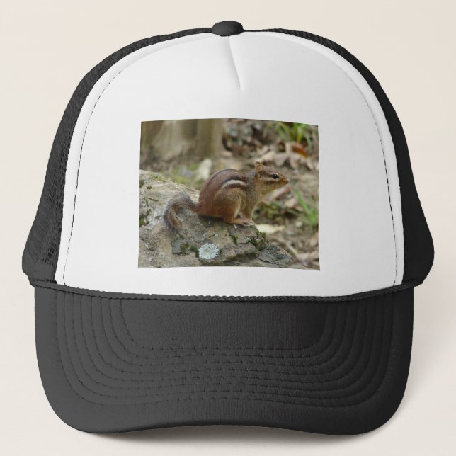 Sweet Chipmunk Hot Springs National Park Geschenke Truckerkappe (Vorderseite)
