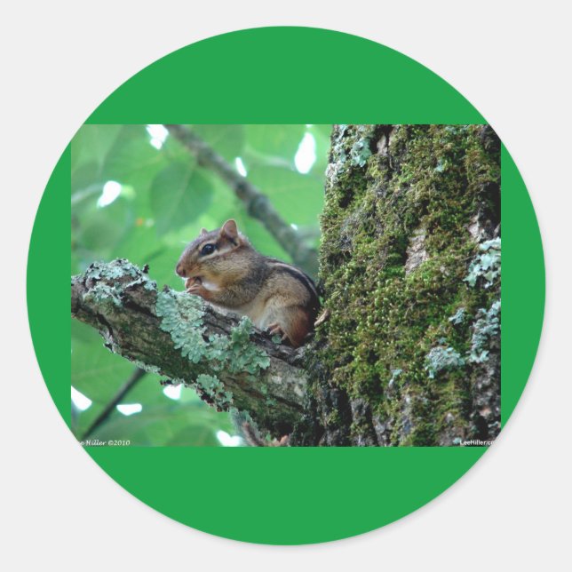 Sweet Chipmunk in einem Baumkleid und Geschenke Runder Aufkleber (Vorderseite)
