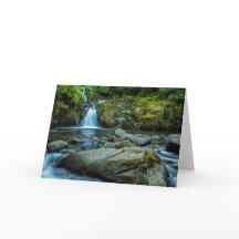 Sweet Creek Falls
