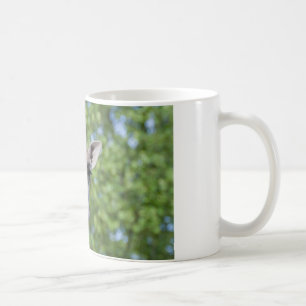 Sweet Curios Giraffe Kaffeetasse