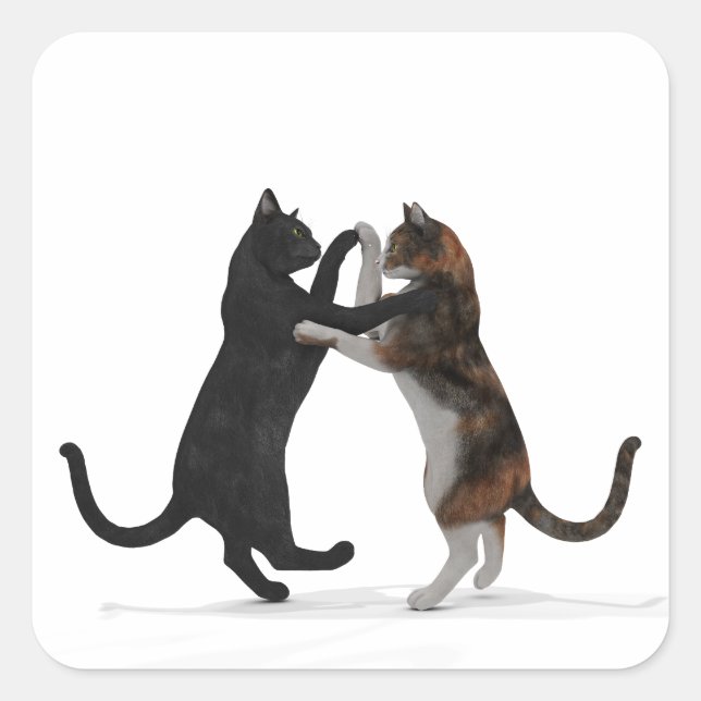 Sweet Dancing Cats Quadratischer Aufkleber (Vorderseite)