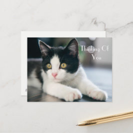 Sweet "Denken Sie an Sie" Tuxedo Kitten Gruß Postkarte