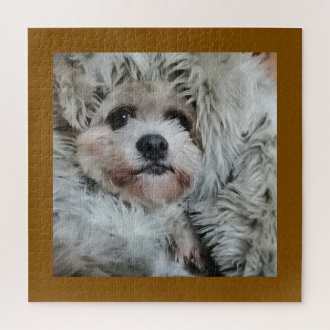 Sweet dog, puppy (Vertikal)