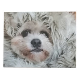 Sweet dog, puppy notizblock