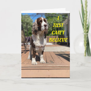 SWEET DOGS DIT HEUREUX 50ème ANNIVERSAIRE ! Carte