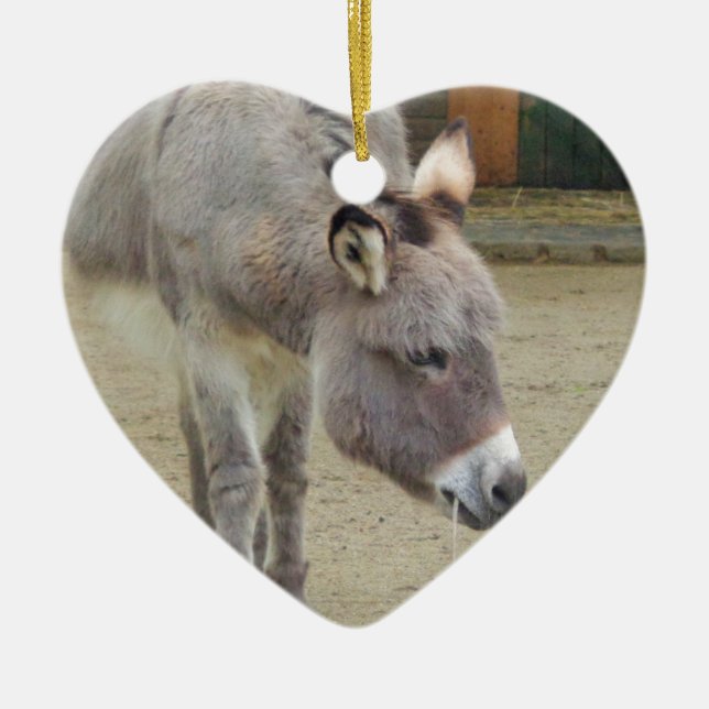 Sweet Donkey, Animal Gray, Horse Family Keramik Ornament (Vorne)