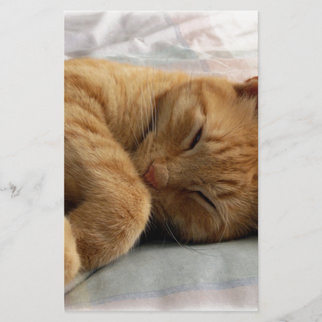 Sweet Dreams (Vorderseite)