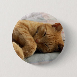 Sweet Dreams Button