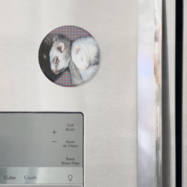 Sweet Dreams Ferrets Magnet