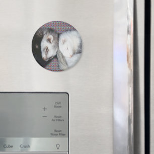 Sweet Dreams Ferrets Magnet