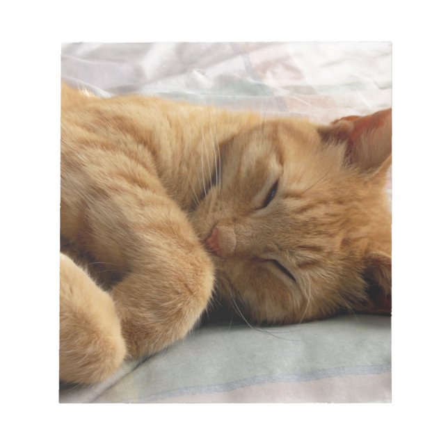 Sweet Dreams Notizblock (Vorderseite)