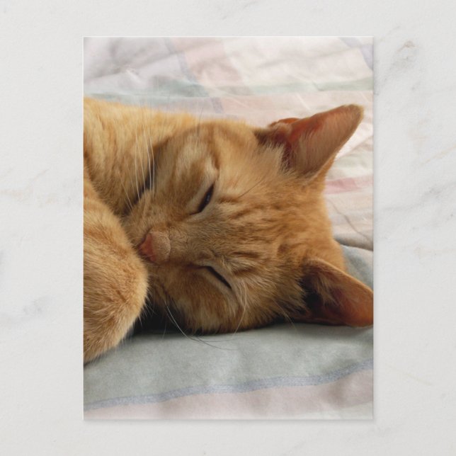 Sweet Dreams Postkarte (Vorderseite)