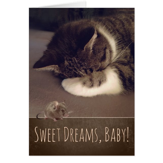 Sweet Dreams Sleeping Kitty (Text anpassbar) (Vorne)