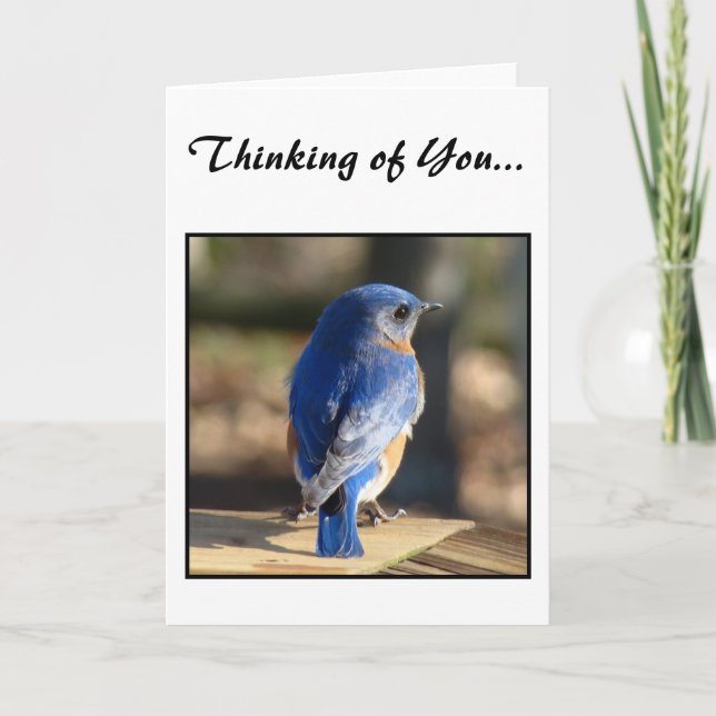 Sweet Eastern Bluebird (Denken Sie an Sie) Karte (Vorderseite)