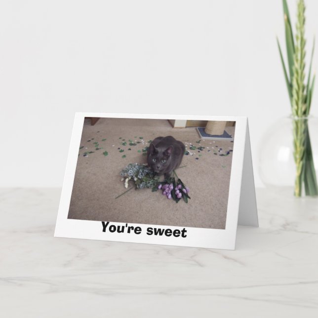 Sweet Friend Dankeskarte (Vorderseite)