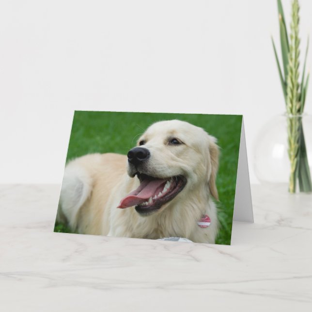 Sweet Friendly Labrador Karte (Vorderseite)
