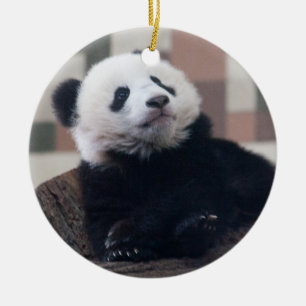 Sweet Giant Panda Baby Keramikornament