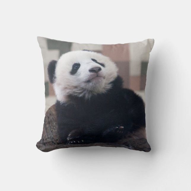Sweet Giant Panda Baby Kissen (Vorderseite)