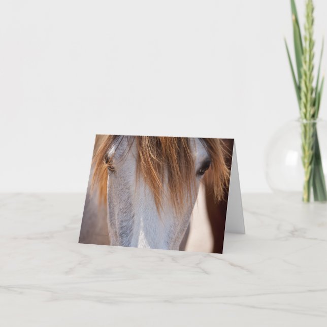 Sweet Ginger Horse Foto Karte (Vorderseite)