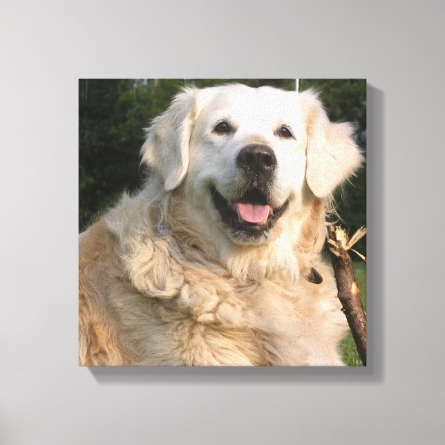 Sweet Golden Retriever Canvas Print Leinwanddruck (Vorderseite)