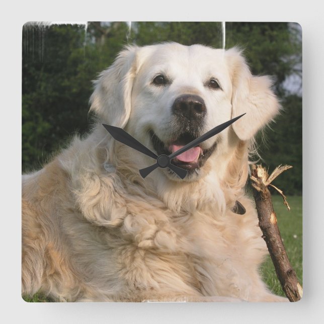Sweet Golden Retriever Wall Clock Quadratische Wanduhr (Vorderseite)
