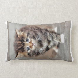 Sweet Grumpy Baby Kitten Lendenkissen