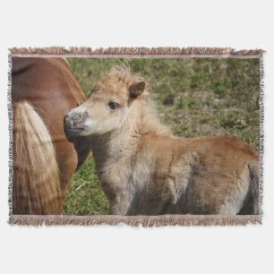 Sweet Haflinger Foal Decke