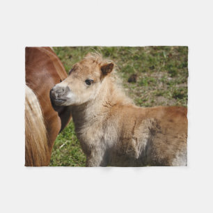 Sweet Haflinger Foal Fleecedecke
