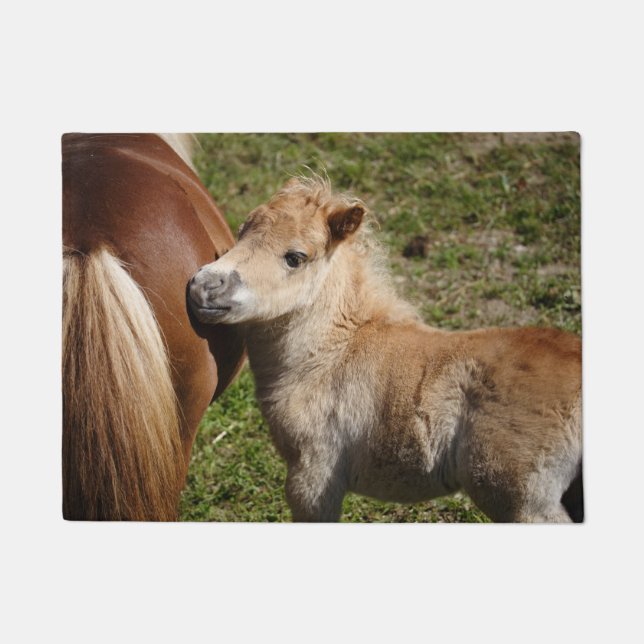 Sweet Haflinger Foal Fußmatte (Vorderseite)