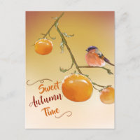 Sweet Herbst Niedlich Orange Persimmon Frucht & Bi