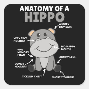 Sweet Hippo Statement Anatomie eines Hippo Quadratischer Aufkleber