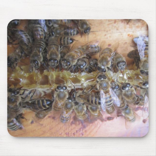 Sweet Honey Bee Mousepad (Vorne)