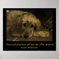 Sweet Hund mit inspirierendem Zitat.