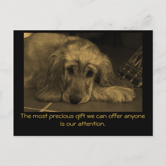 Sweet Hund mit inspirierendem Zitat. Postkarte (Vorderseite)