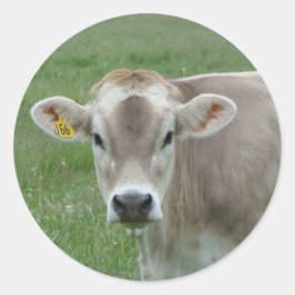 Sweet Jersey Cow Runder Aufkleber